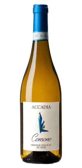 Verdicchio Dei Castelli di Jesi Classico Doc "Consono"